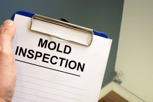 Mold Removal for HVAC Installations in Aspinwall, PA